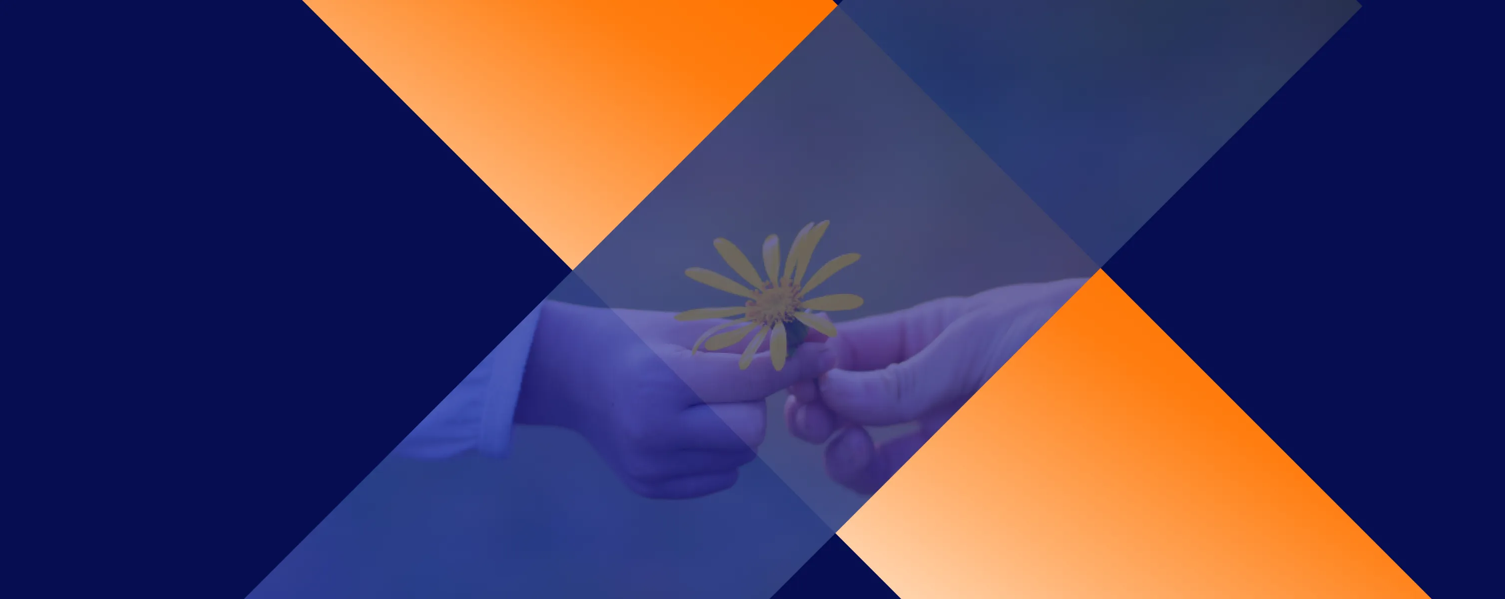 ファーストビュー