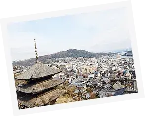 街を見下ろし、天寧寺、海雲塔や街並みや海や山が写っています