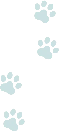 上向きの猫の足跡