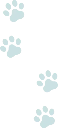 上向きの猫の足跡