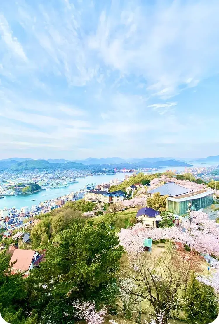 上空からの眺め